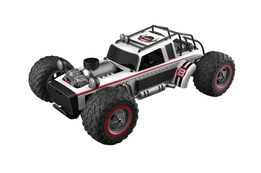 Wisairt RC Cars,1:10 Large Remote Control Truck,High Speed RC Truck with Spray 360 Degress Car Toys for Kids Aults Boys Girls 6+ Birthday Gifts